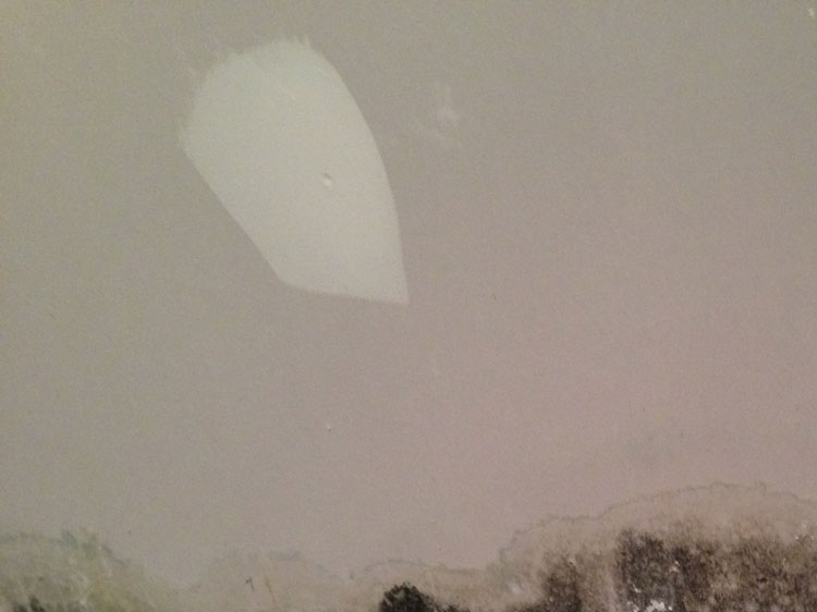 photo_of_mould_on-wall